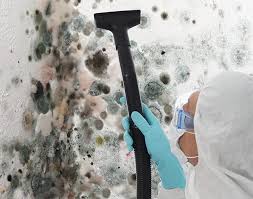 Best Mold Damage Restoration  in Stlman Valley, IL